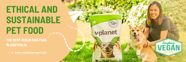 Ethical and Sustainable Pet Food: The Best Vegan Dog Food In Australia