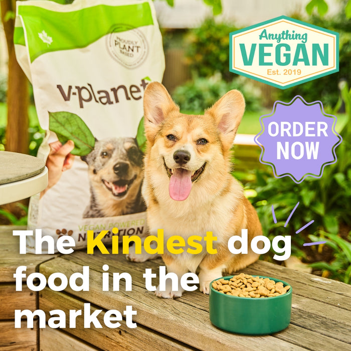 The Ultimate Guide To Affordable and Convenient Dog Food: Exploring V-Planet Plant Powered Kibble