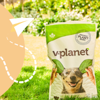 Ethical and Sustainable Pet Food: The Best Vegan Dog Food In Australia