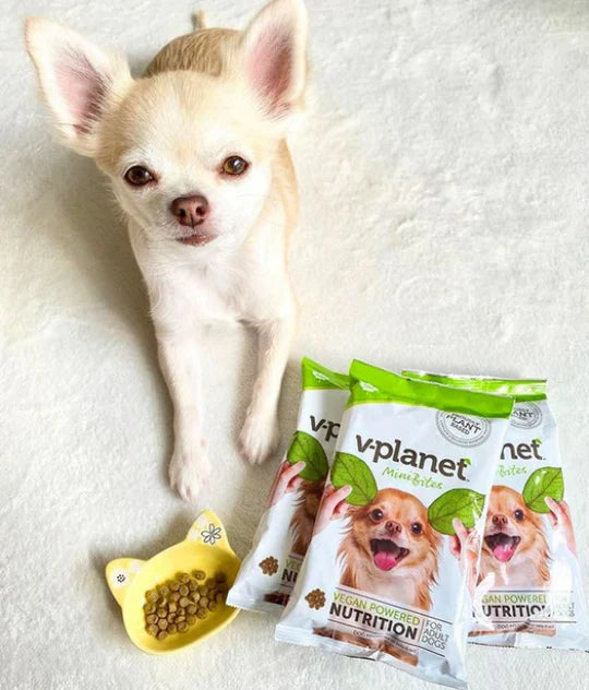 Why your dogs deserve Vegan food