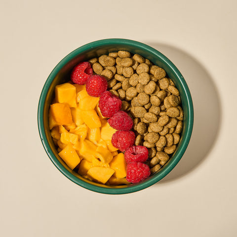 Hypoallergenic dog food in Australia