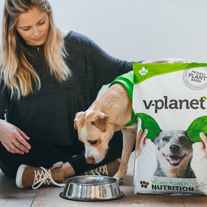 Discover the Benefits of Feeding Your Canine Companion a Vegan Diet: A Scientific Exploration of Vegan Dog Food
