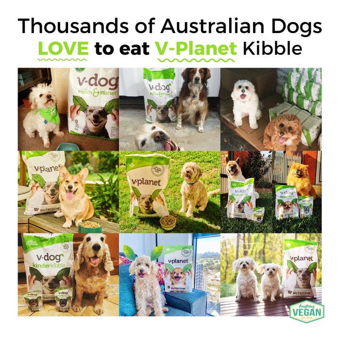 V-Planet Regular Size Kibble (6.80KG - 13.60G)