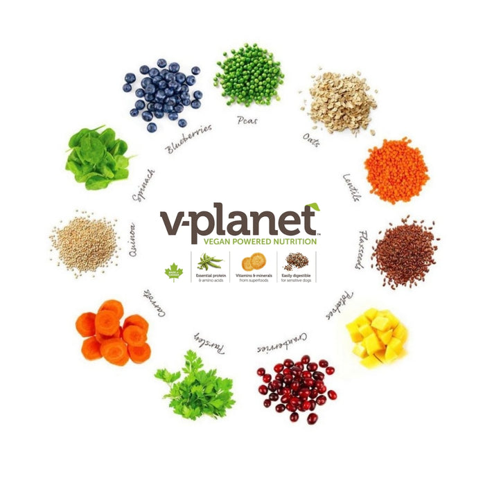 V-Planet Regular Size Kibble (6.80KG - 13.60G)