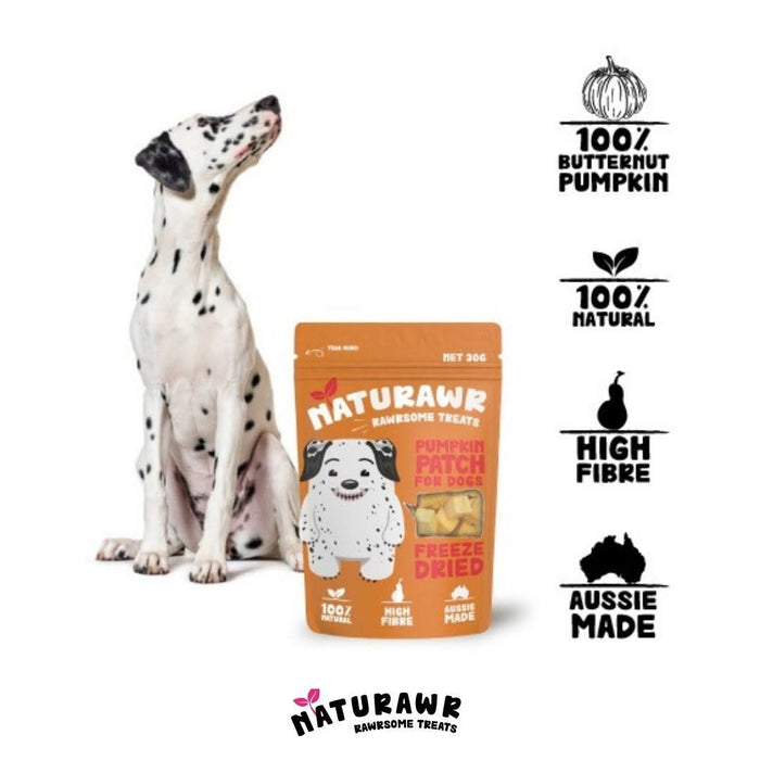 Pumpkin Patch For Dogs