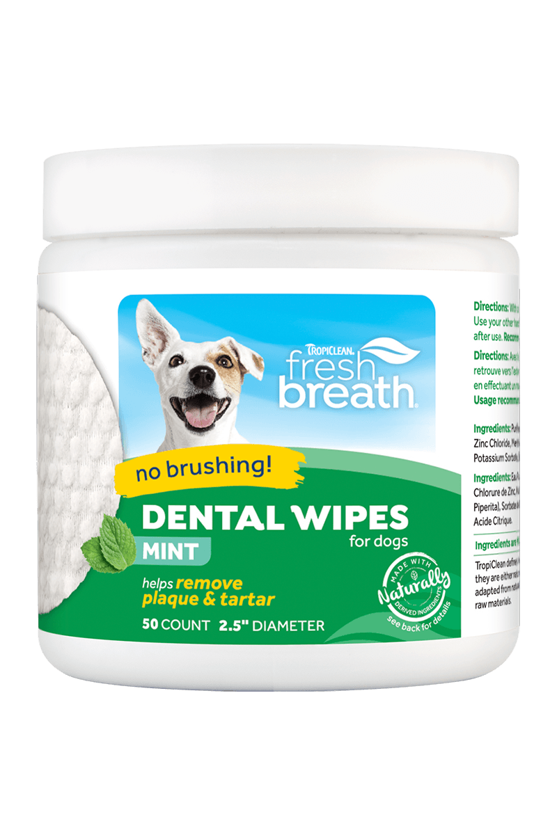 Fresh Breath Dental Wipes 50 Sheets - www.anythingvegan.com.au